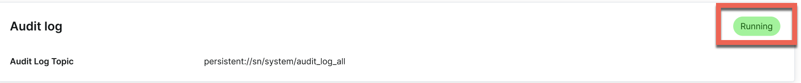 Run audit log successfully screenshot of running audit log successfully
